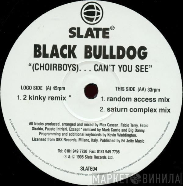 Black Bulldog - (Choirboys)...Can't You See
