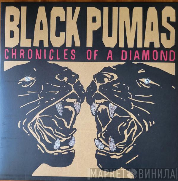 Black Pumas - Chronicles Of A Diamond