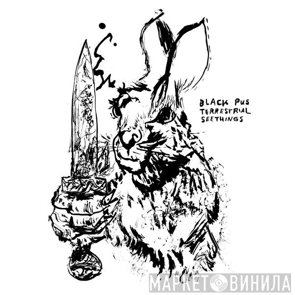 Black Pus - Terrestrial Seethings
