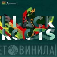  Black Roots  - On The Ground