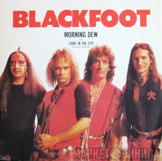  Blackfoot   - Morning Dew