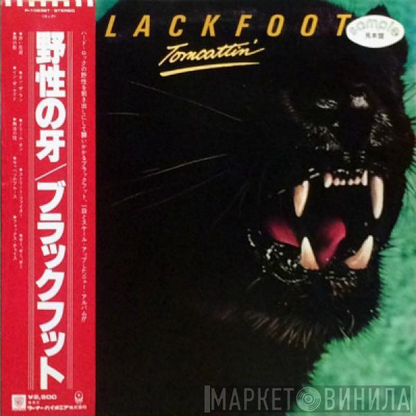  Blackfoot   - Tomcattin'