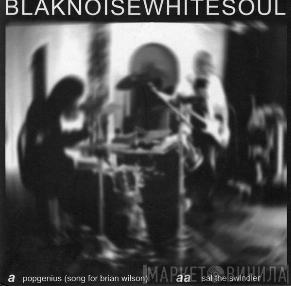 Blaknoisewhitesoul - Pop Genius (Song For Brian Wilson)