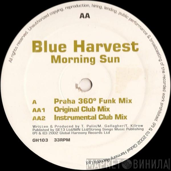  Blue Harvest  - Morning Sun