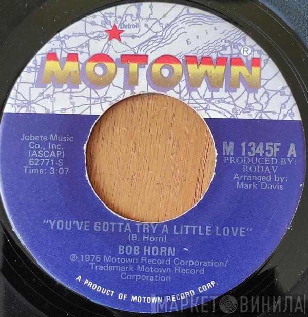 Bob Horn  - You've Gotta Try A Little Love