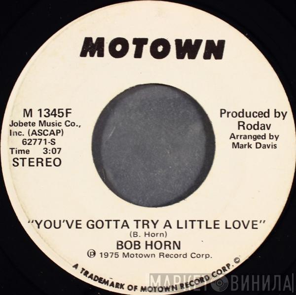 Bob Horn  - You've Gotta Try A Little Love