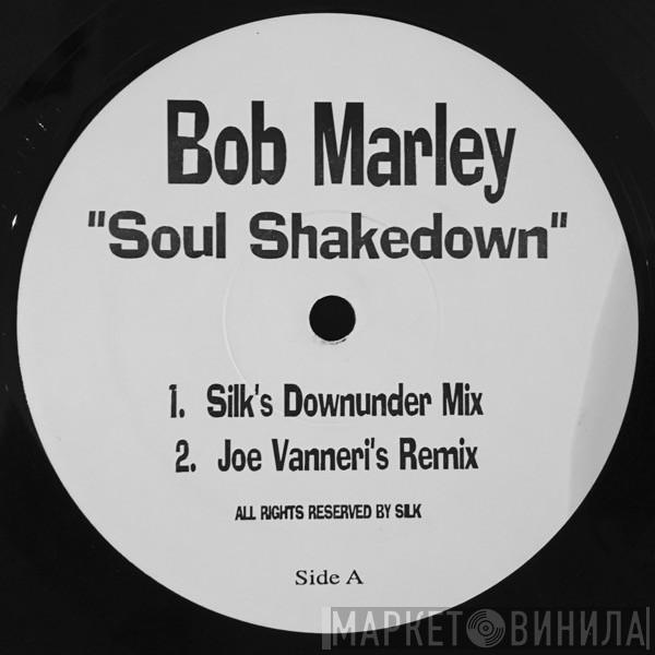  Bob Marley  - Soul Shakedown
