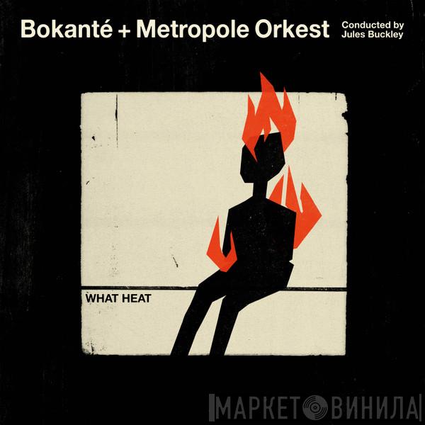 Bokanté, Metropole Orchestra, Jules Buckley - What Heat