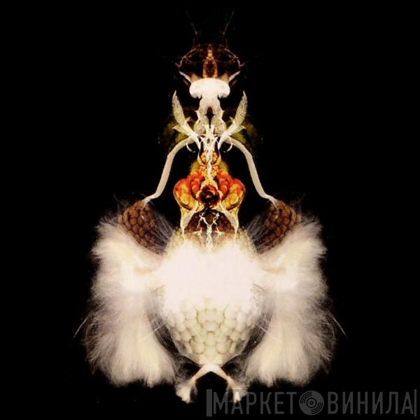  Bola  - Fyuti