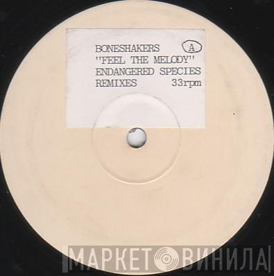  Boneshakers  - Feel The Melody (The Remixes)
