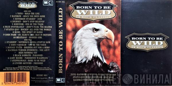 - Born To Be Wild (18 Rock Classics)