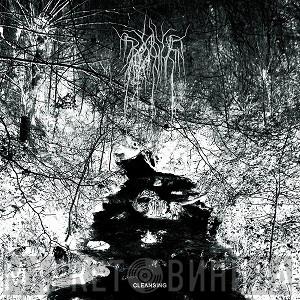 Bosque - Cleansing