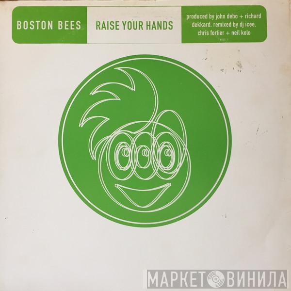  Boston Bruins  - Raise Your Hands