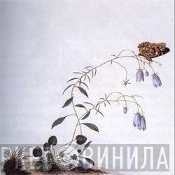  Botanist  - I: The Suicide Tree / II: A Rose From The Dead