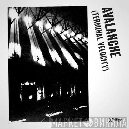 Boys Noize, Erol Alkan, Jarvis Cocker - Avalanche (Terminal Velocity)