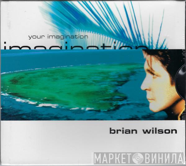  Brian Wilson  - Your Imagination
