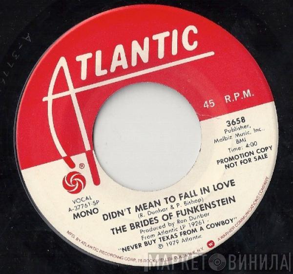 Brides Of Funkenstein - Didn't Mean To Fall In Love