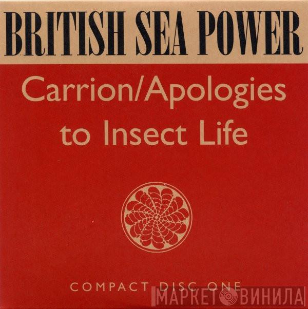 British Sea Power - Carrion / Apologies To Insect Life