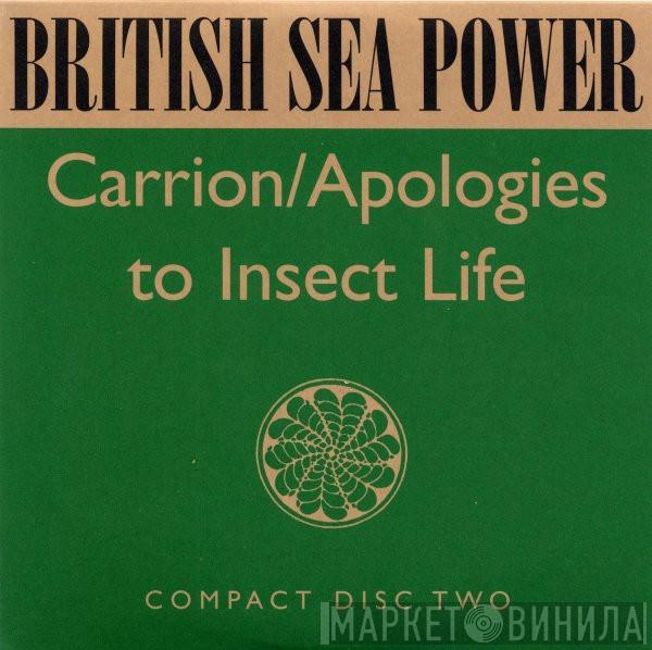 British Sea Power - Carrion / Apologies To Insect Life