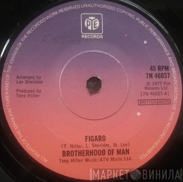 Brotherhood Of Man - Figaro