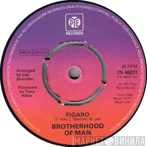 Brotherhood Of Man - Figaro