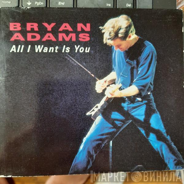  Bryan Adams  - All I Want Is You