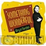 Bryn Terfel, Paul Daniel, English Northern Philharmonia - Something Wonderful - Bryn Terfel Sings Rodgers & Hammerstein
