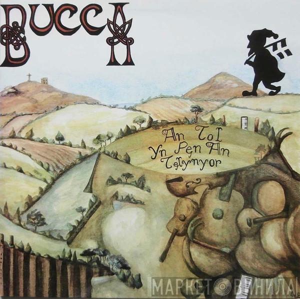 Bucca - The Hole In The Harper's Head (An Tol An Pedn An Telynor)