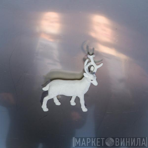 Buck Gooter - Stainless Steel Mirrors