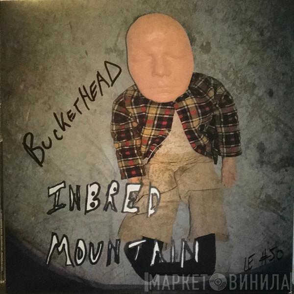  Buckethead  - Inbred Mountain