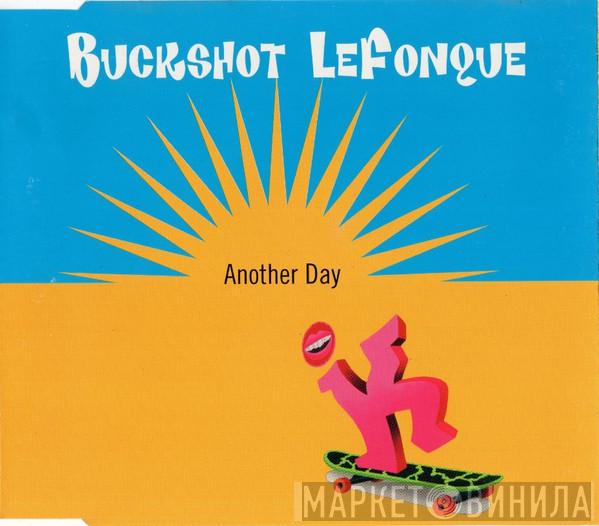  Buckshot LeFonque  - Another Day