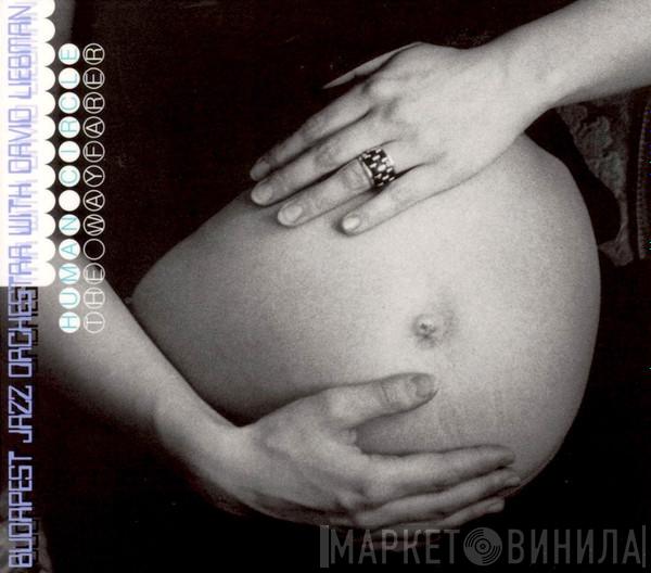 Budapest Jazz Orchestra, David Liebman - Human Circle - The Wayfarer