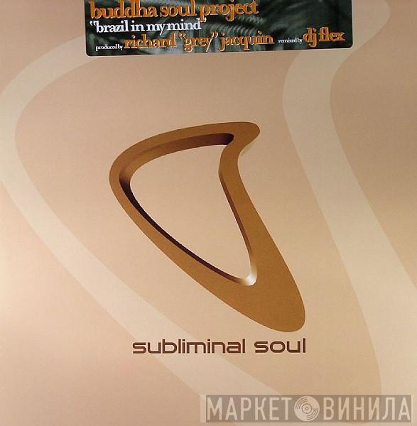 Buddha Soul Project - Brazil In My Mind