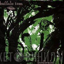  Buffalo Tom  - Birdbrain