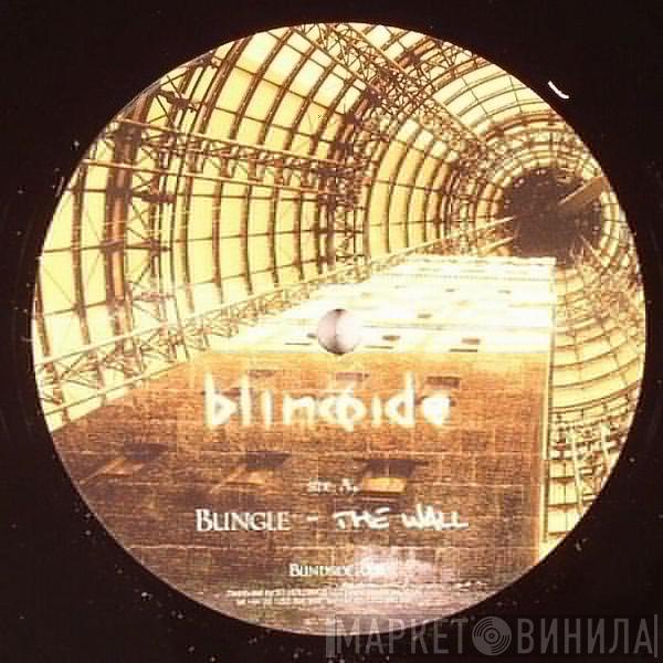 Bungle - The Wall / Sky High