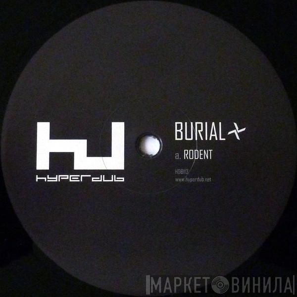 Burial - Rodent