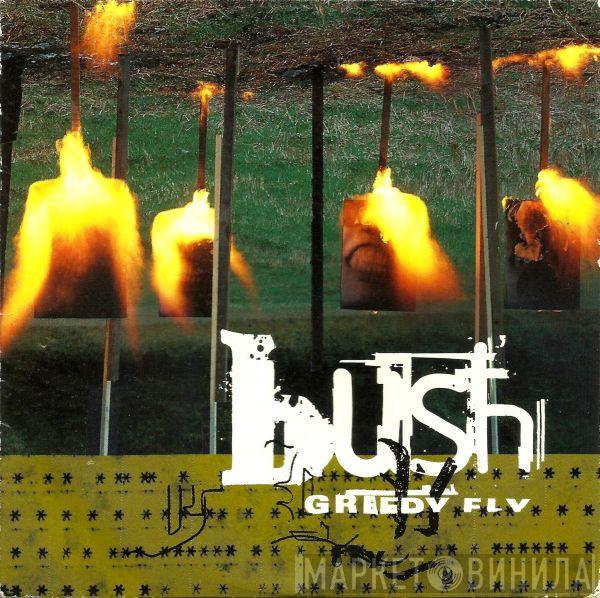 Bush - Greedy Fly