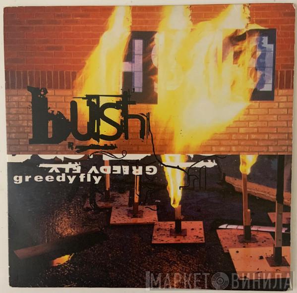 Bush - Greedy Fly