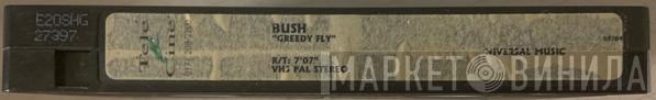  Bush  - Greedy Fly