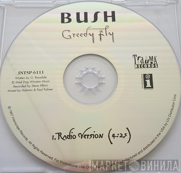  Bush  - Greedy Fly