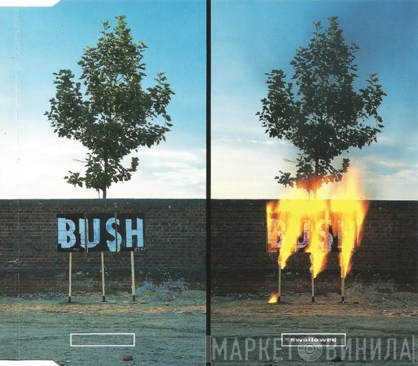  Bush  - Swallowed