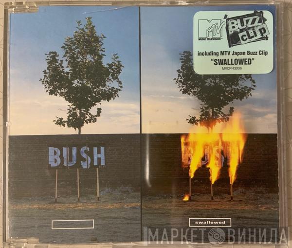  Bush  - Swallowed