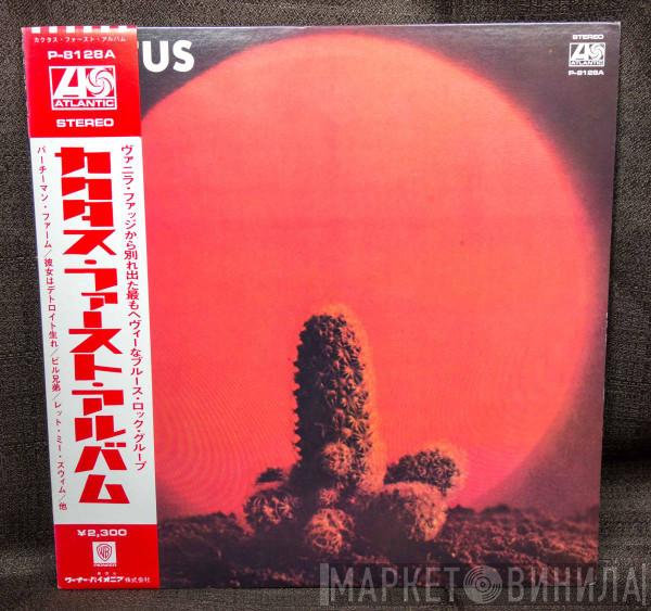  Cactus   - Cactus