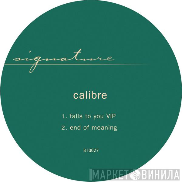  Calibre  - Falls To You VIP / End Of Meaning