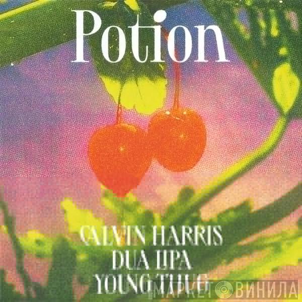 , Calvin Harris , Dua Lipa  Young Thug   - Potion