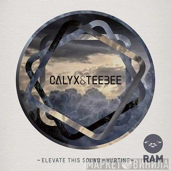 Calyx & Teebee - Elevate This Sound / Hurting