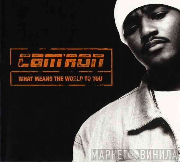  Cam'ron  - What Means The World To You