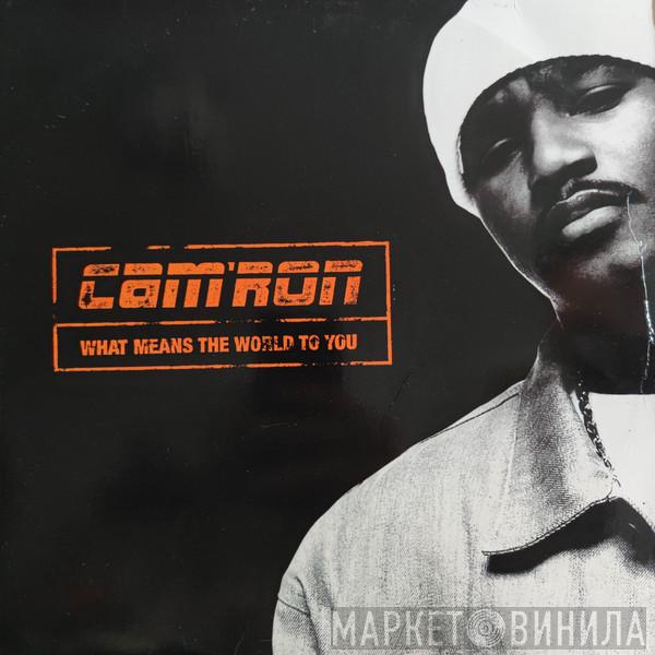 Cam'ron - What Means The World To You