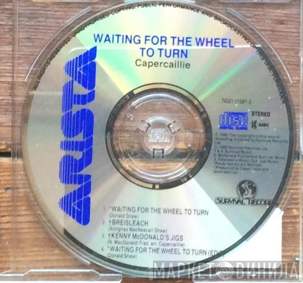  Capercaillie  - Waiting For The Wheel To Turn