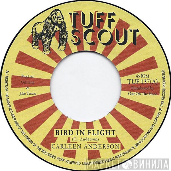  Carleen Anderson  - Bird In Flight